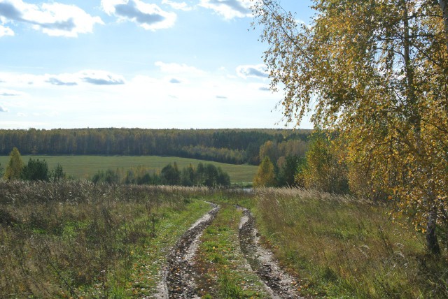 Красота сельских дорог