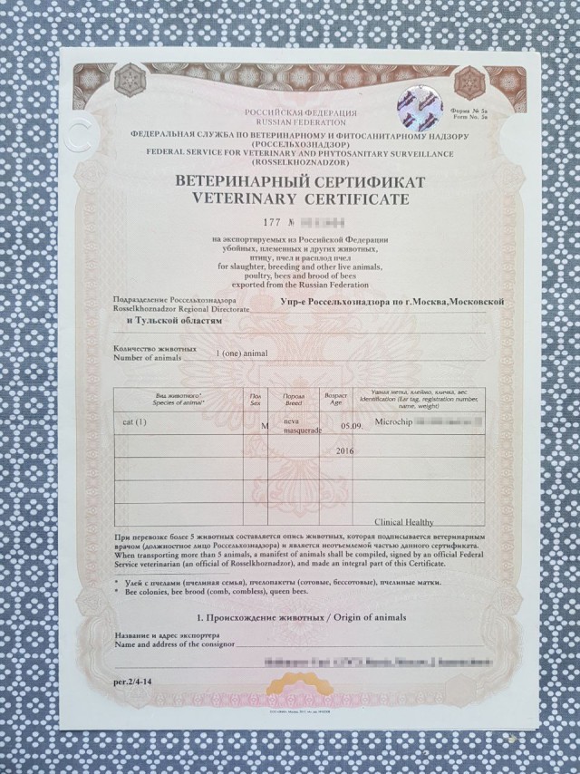 Сколько стоит жизнь в Лондоне