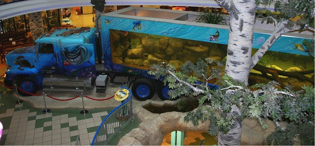 Как я аквариум строил