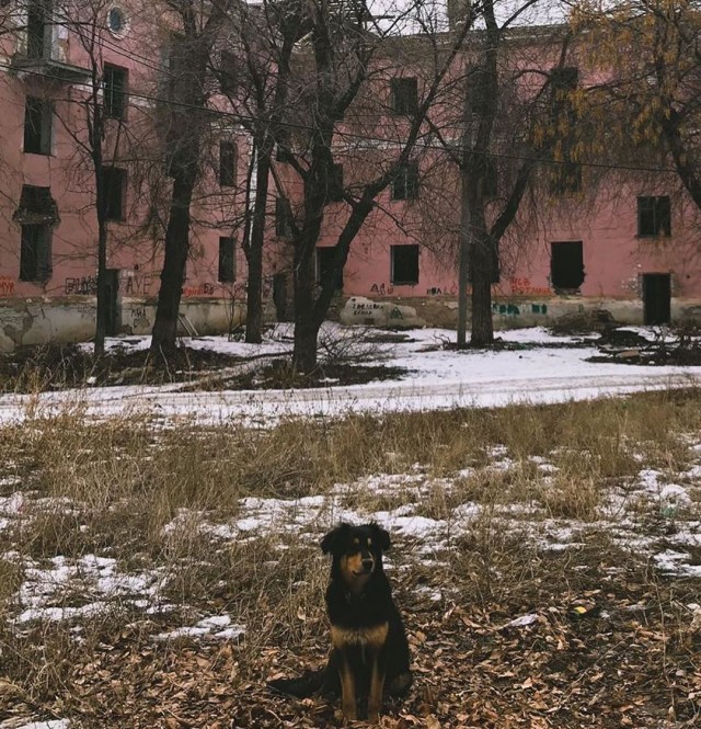 Убийство в Волгограде