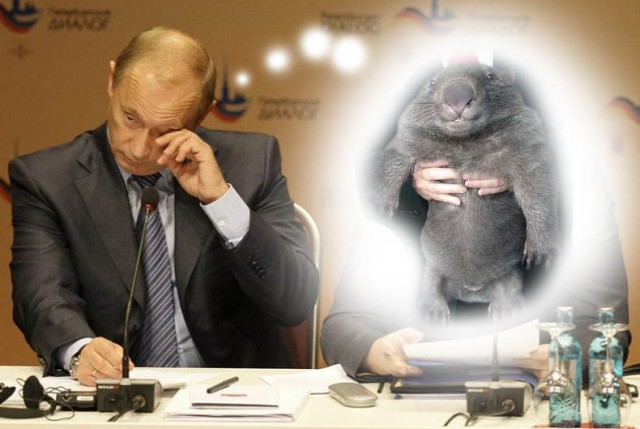 Что случилось, Володя?