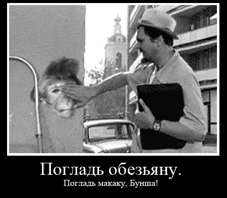 Проспал экзамен!
