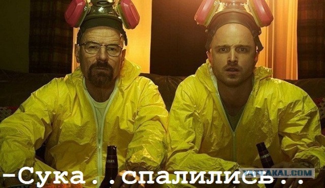 Неизвестная зелёная жидкость сегодня вытекла в Москву-реку в районе Пречистенской набережной