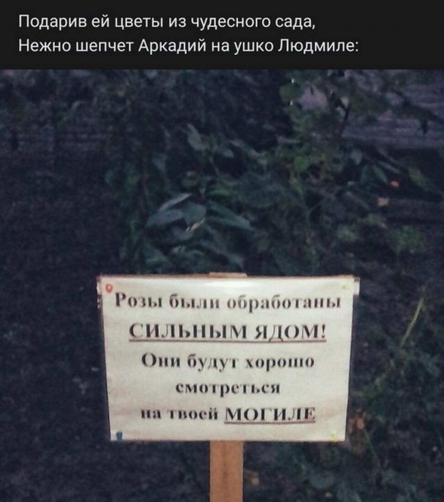 Бредзона 30.10.2020