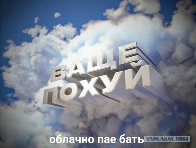 Главному Директору Телевизора