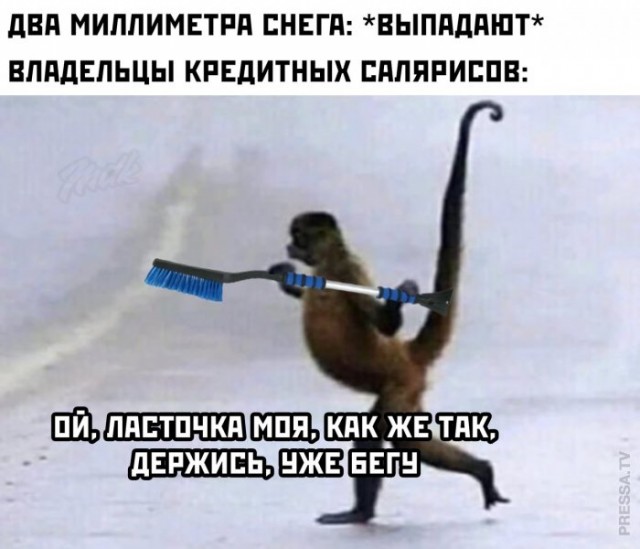 Картинки и мемы для настроения 006