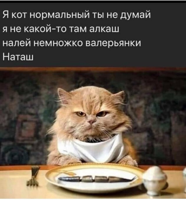 Картинки и мемы для настроения 012
