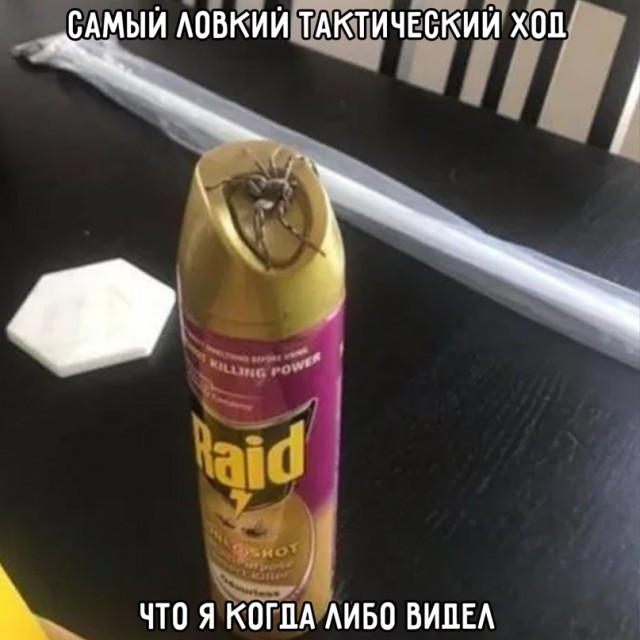 Весёлый полтишок 14.02