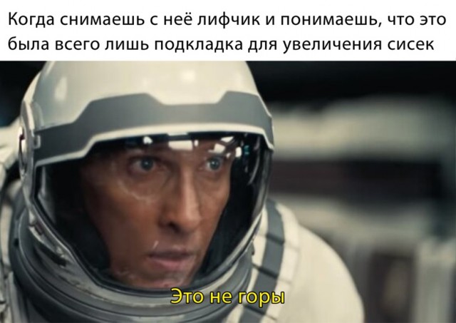 Весёлый полтишок 31.03