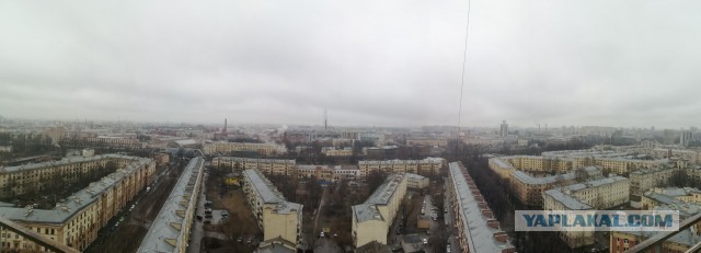 Жизнь трезвого холостяка