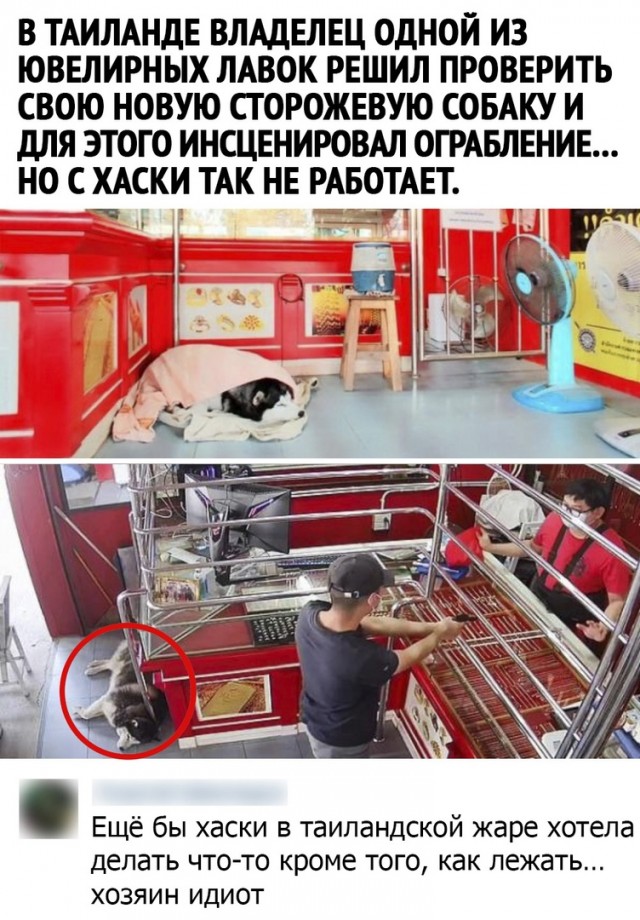 Так себе картинки 01.06.2021