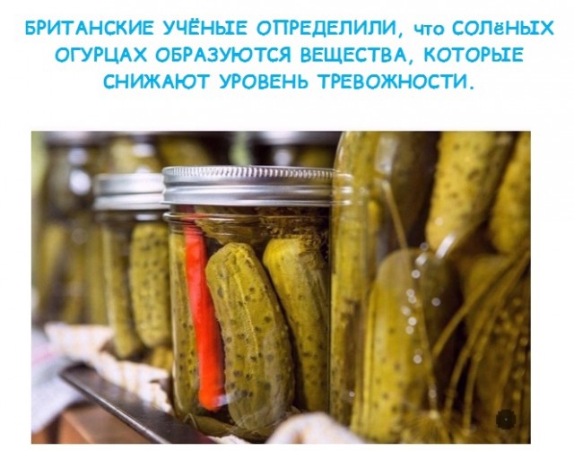 Кретинизмы из сети 01.09.2021