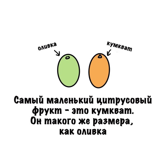 Картинки на субботу