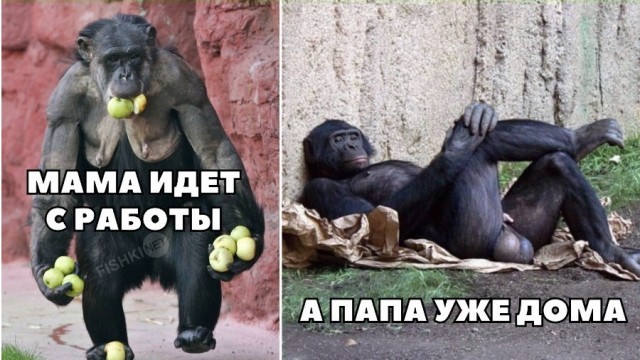 Прикольные и просто красивые картинки 01.11.2021