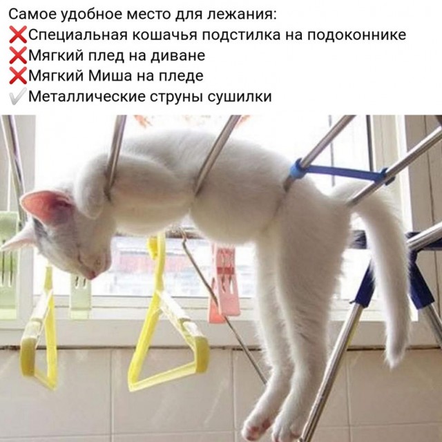 Картинки и мемы для настроения 11.11.2021