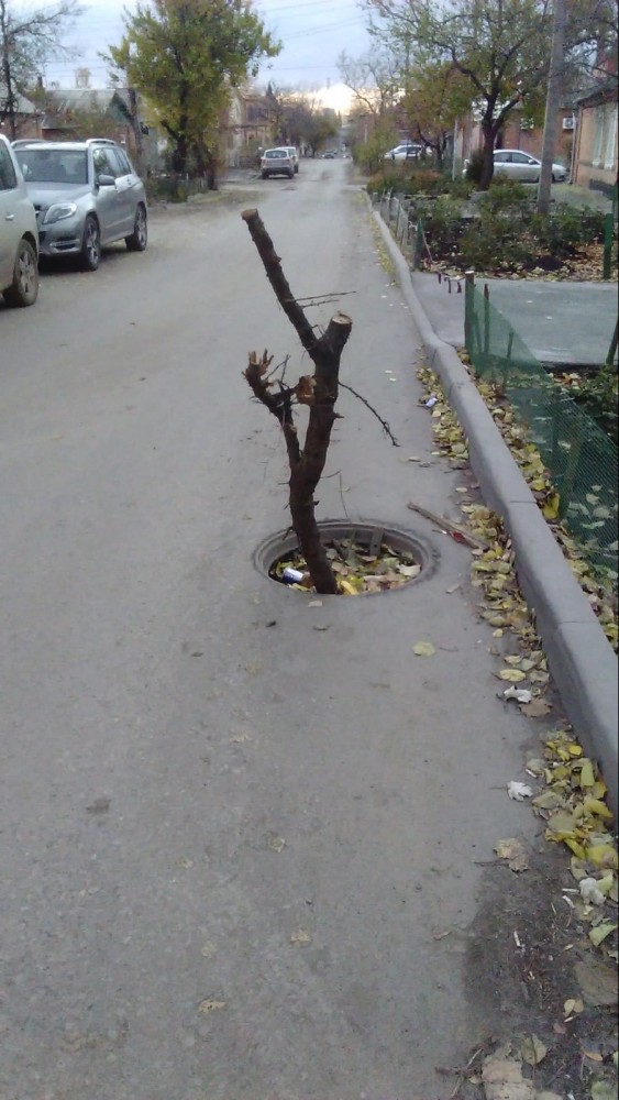 Бездуховный запад. Часть Вторая