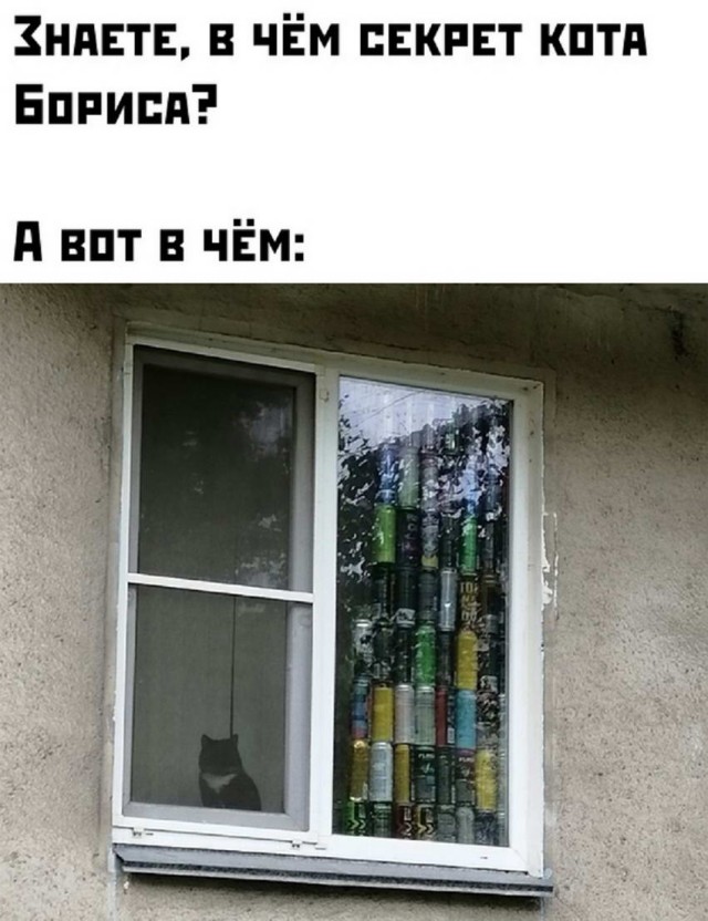 Картинки и мемы для настроения 13.12.2021