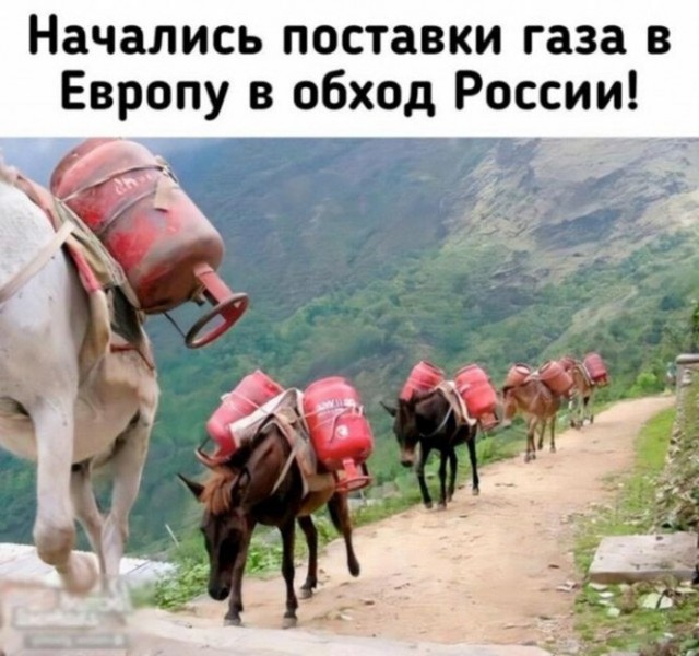 Баянисто-небаянистый юмор 30.03.22