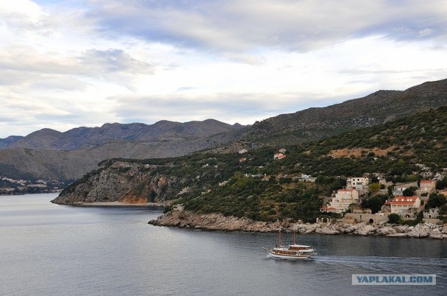 Любовь с первого взгляда