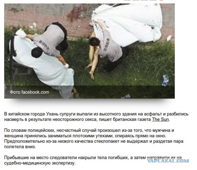 Доктор ху*ни не скажет