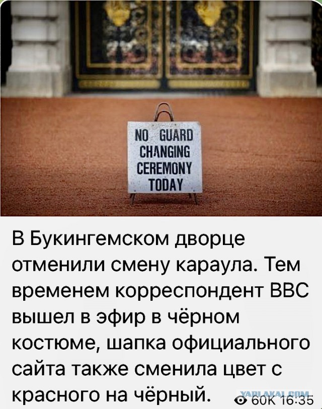 Пандемия съехавших крыш - разновидности болезни. Россия и мир. Часть 41.