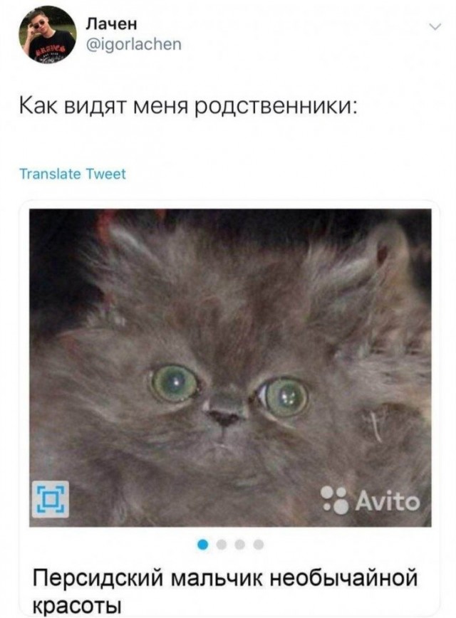 Скриншоты и комментарии из социальных сетей 12.09.22