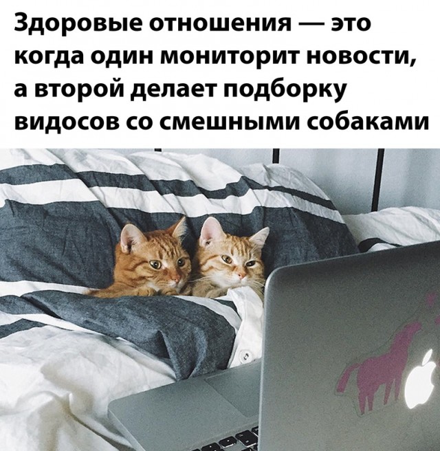 Весёлый полтишок 12.10.22