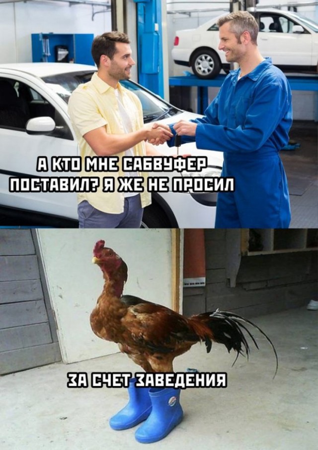 Так себе картинки 07.11.22