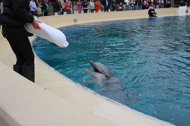 Деревенская Америка