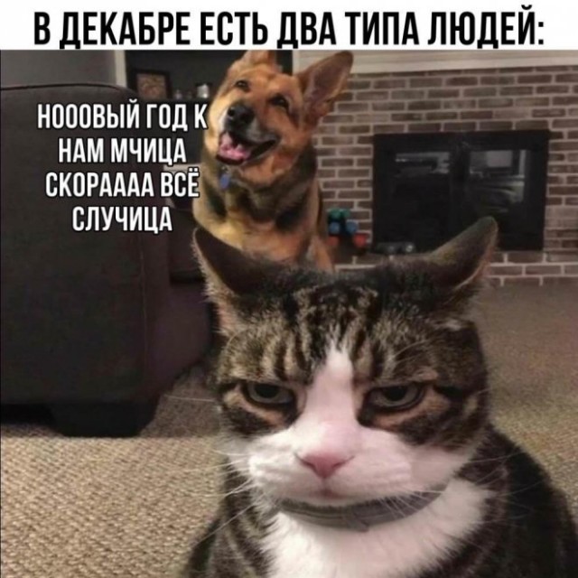 Картинки и мемы для настроения - 125