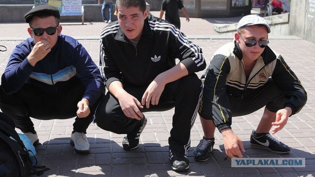 Боевые петушки