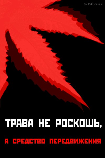 Воронежские учёные придумали, как производить молоко из конопли