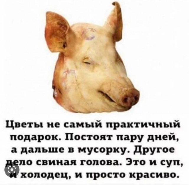 Кто-то забыл пакет в вагоне питерского метрополитена
