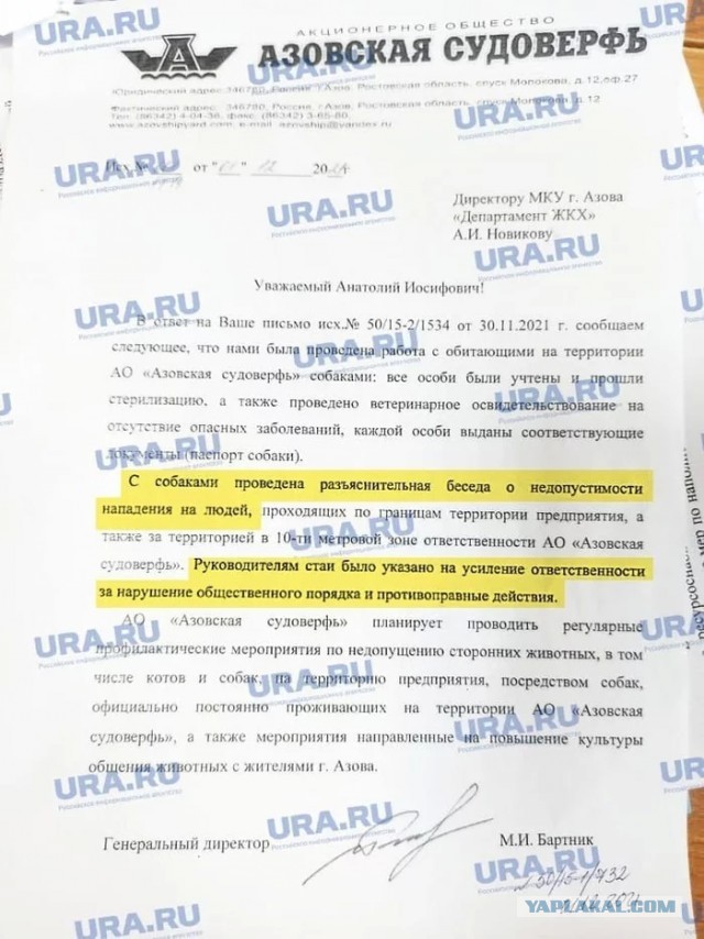 В Воронеже стая бездомных собак напала на ребёнка