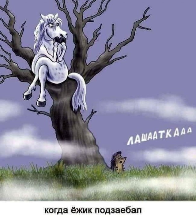 Подборка картинок 14.04.2023