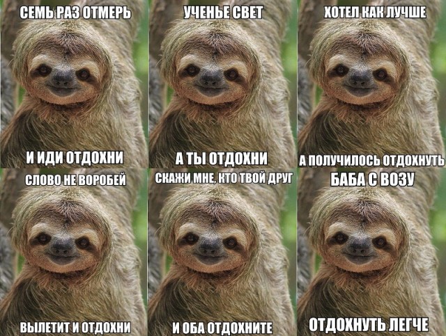 Паша, коуч и обои