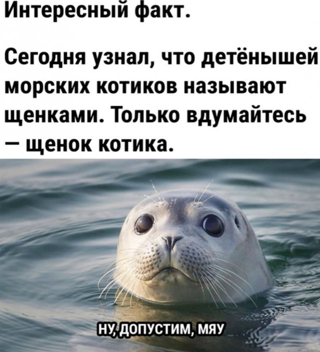 Картинки с надписями 09.07.23