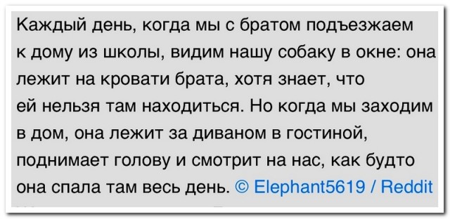 Забавные комментарии из социальных сетей (24.07.23)