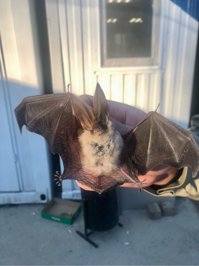 Неожиданное соседство на работе