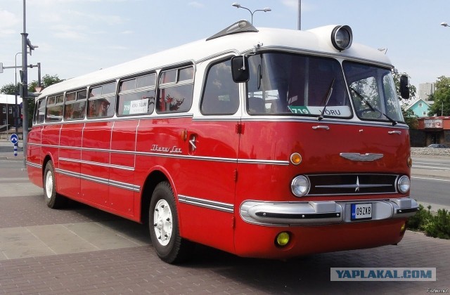 Самый безопасный и необычный автобус «Икарус» 70-х годов