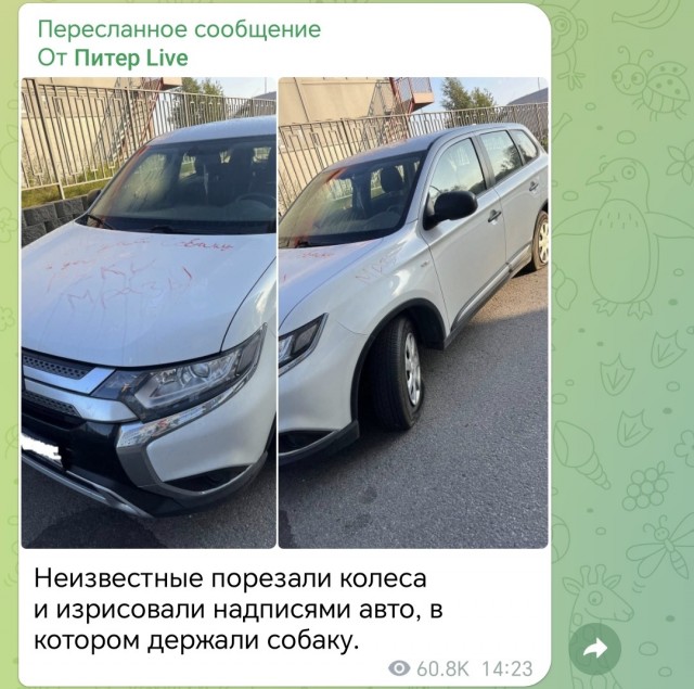 Жил был пес (в автомобиле)