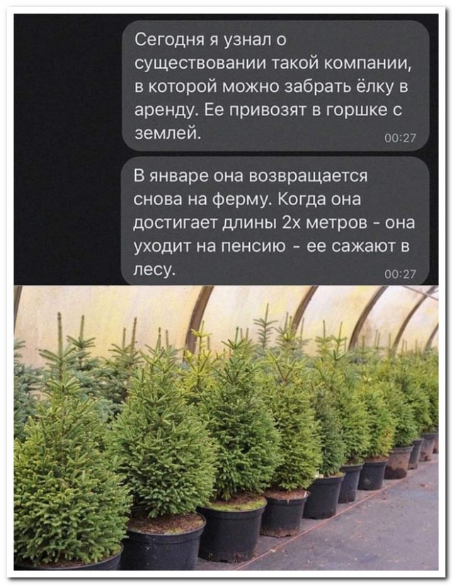 Забавные комментарии из социальных сетей 08.01.24