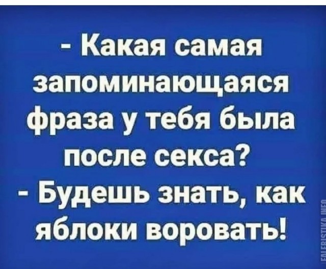 Яблок в том году не было ни у кого, но мне достался целый пакет