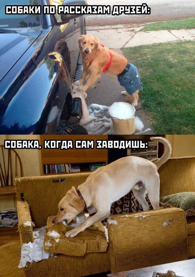Завалялось тут случайно немного забавных картинок