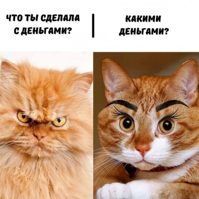 LOLтиночки