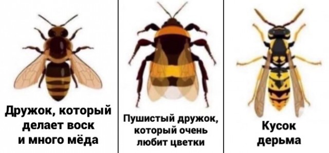 Всего понемногу. От 05.07.24