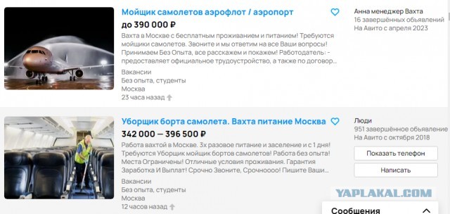 Как выглядит самолет после столкновения со стаей птиц