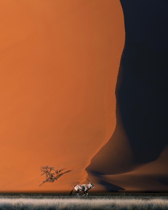 ФотоВинегрет