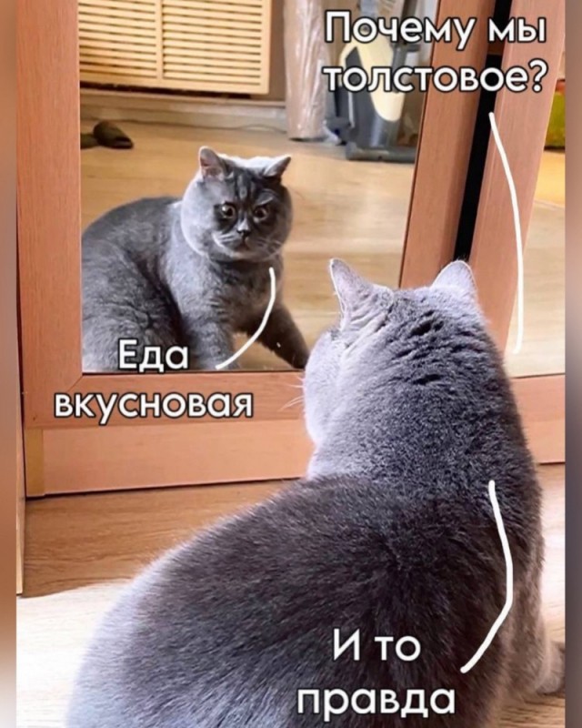 Завалялось тут случайно немного забавных картинок