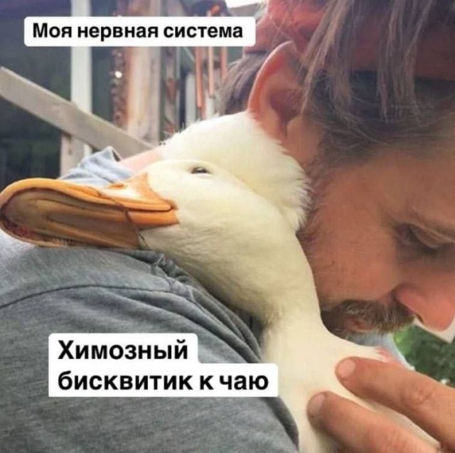 Завалялось тут случайно немного забавных картинок